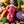 ORGANIC JUICE CURE PROTEIN+